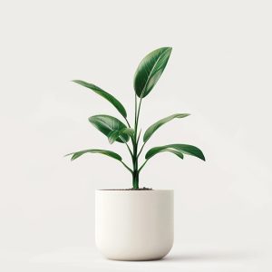首页 product 04