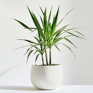 首页 product 05